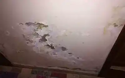 Su Kaçağı Tespiti Fatih Servisi?