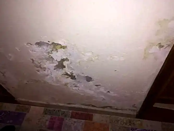 Su Kaçağı Tespiti Fatih Servisi?