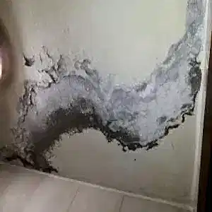 Avcılar Su Kaçağı Bulma Fiyatları?