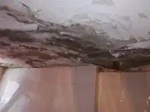 Su Kaçak Bulma Çözüm Merkezi