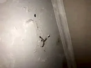 7/24 Su Kaçağı Tespiti.Kırmadan Dinleme Cihazı ile 100%  Tespit Yapıyoruz.